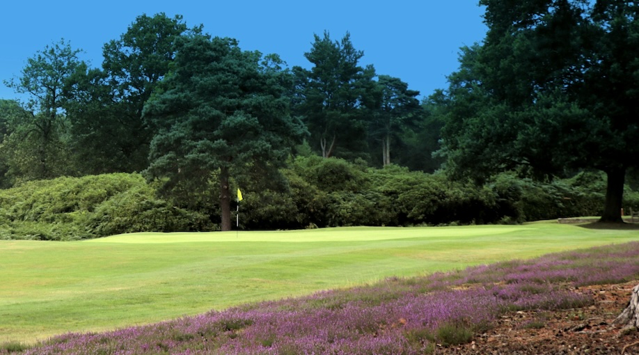 Photo of New Zealand Golf Club